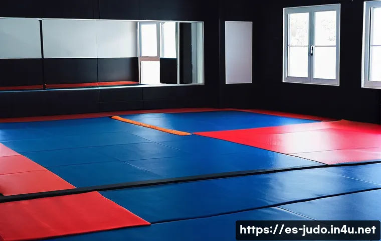 유도 훈련 장소 추천 - A spacious, clean judo dojo in Spain with bright natural light streaming through large windows, high...